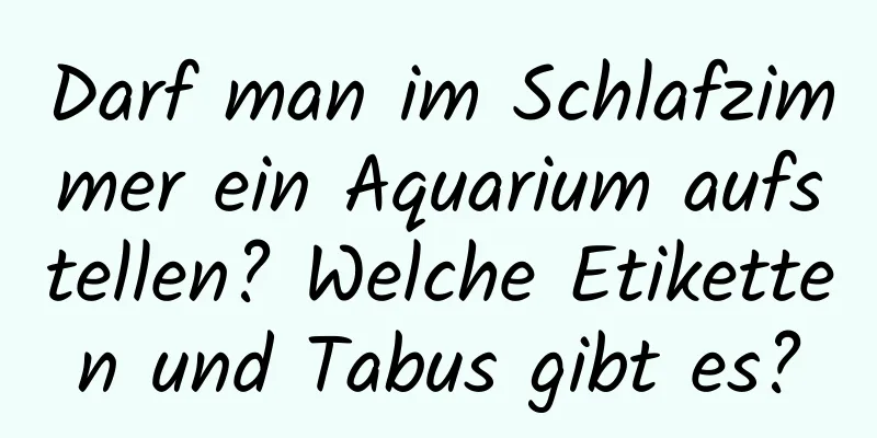 Darf man im Schlafzimmer ein Aquarium aufstellen? Welche Etiketten und Tabus gibt es?