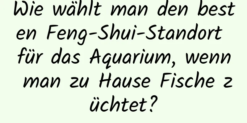 Wie wählt man den besten Feng-Shui-Standort für das Aquarium, wenn man zu Hause Fische züchtet?