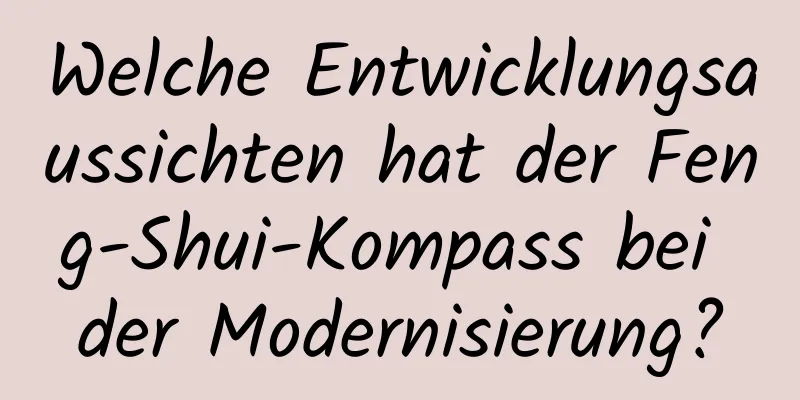 Welche Entwicklungsaussichten hat der Feng-Shui-Kompass bei der Modernisierung?