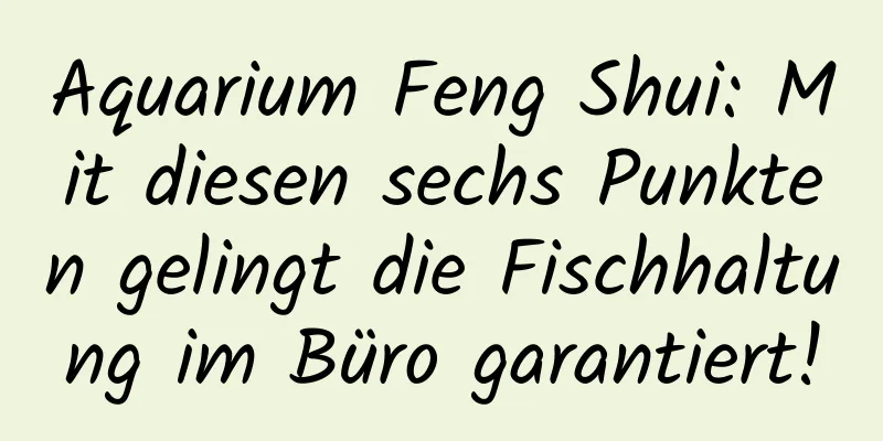 Aquarium Feng Shui: Mit diesen sechs Punkten gelingt die Fischhaltung im Büro garantiert!