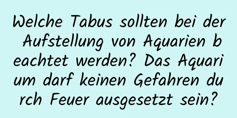 Welche Tabus sollten bei der Aufstellung von Aquarien beachtet werden? Das Aquarium darf keinen Gefahren durch Feuer ausgesetzt sein?