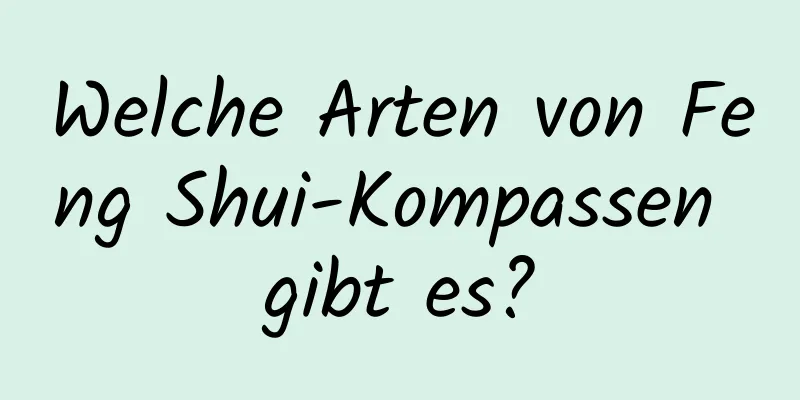 Welche Arten von Feng Shui-Kompassen gibt es?