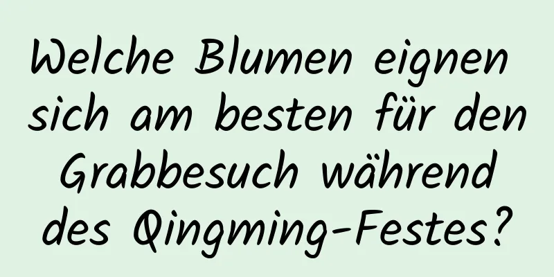 Welche Blumen eignen sich am besten für den Grabbesuch während des Qingming-Festes?