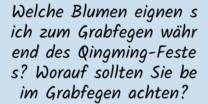 Welche Blumen eignen sich zum Grabfegen während des Qingming-Festes? Worauf sollten Sie beim Grabfegen achten?