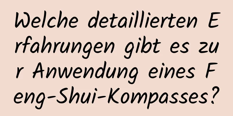 Welche detaillierten Erfahrungen gibt es zur Anwendung eines Feng-Shui-Kompasses?