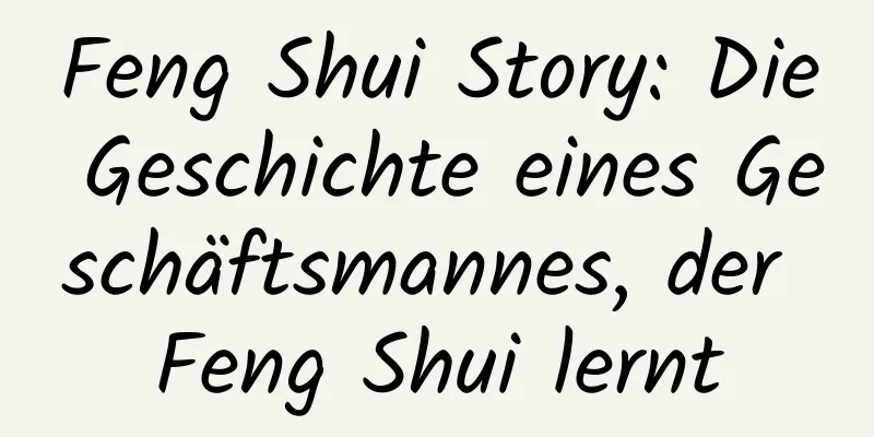 Feng Shui Story: Die Geschichte eines Geschäftsmannes, der Feng Shui lernt