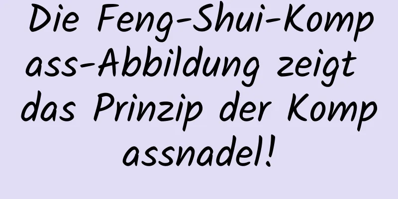 Die Feng-Shui-Kompass-Abbildung zeigt das Prinzip der Kompassnadel!