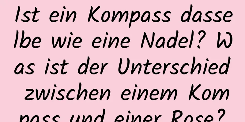 Ist ein Kompass dasselbe wie eine Nadel? Was ist der Unterschied zwischen einem Kompass und einer Rose?