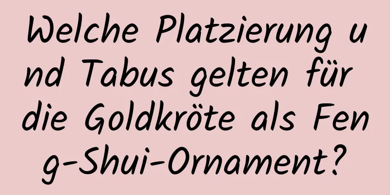 Welche Platzierung und Tabus gelten für die Goldkröte als Feng-Shui-Ornament?