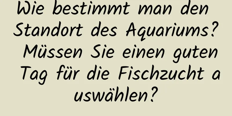 Wie bestimmt man den Standort des Aquariums? Müssen Sie einen guten Tag für die Fischzucht auswählen?