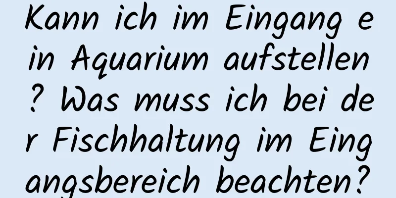 Kann ich im Eingang ein Aquarium aufstellen? Was muss ich bei der Fischhaltung im Eingangsbereich beachten?