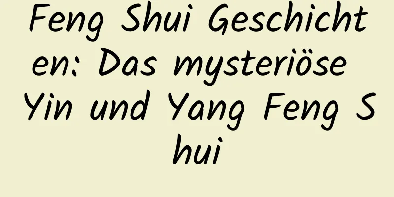 Feng Shui Geschichten: Das mysteriöse Yin und Yang Feng Shui