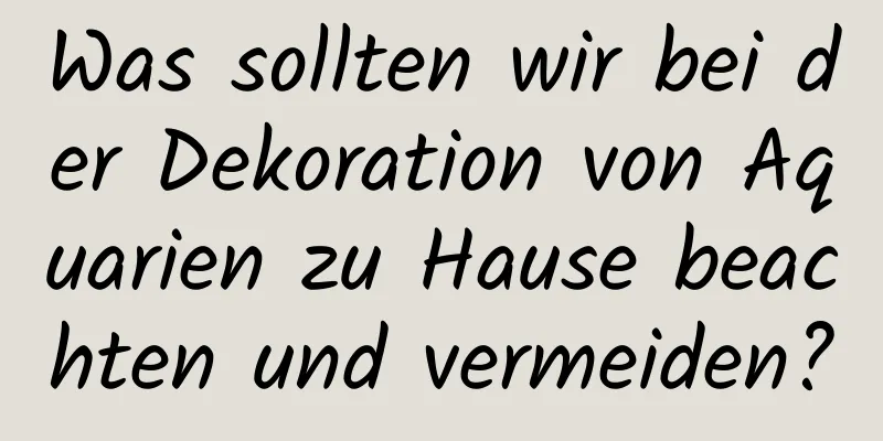 Was sollten wir bei der Dekoration von Aquarien zu Hause beachten und vermeiden?