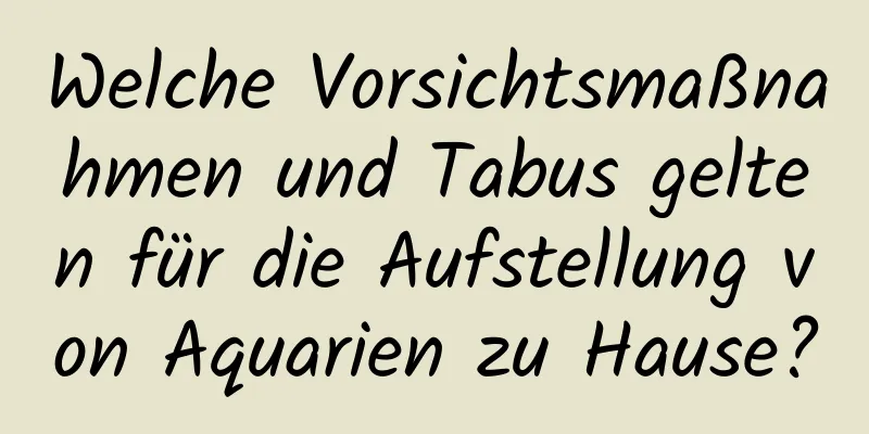 Welche Vorsichtsmaßnahmen und Tabus gelten für die Aufstellung von Aquarien zu Hause?