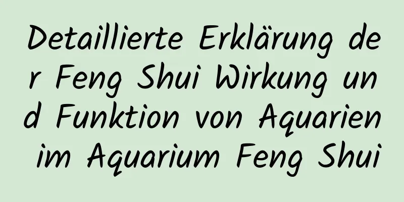 Detaillierte Erklärung der Feng Shui Wirkung und Funktion von Aquarien im Aquarium Feng Shui