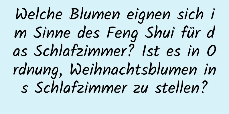 Welche Blumen eignen sich im Sinne des Feng Shui für das Schlafzimmer? Ist es in Ordnung, Weihnachtsblumen ins Schlafzimmer zu stellen?