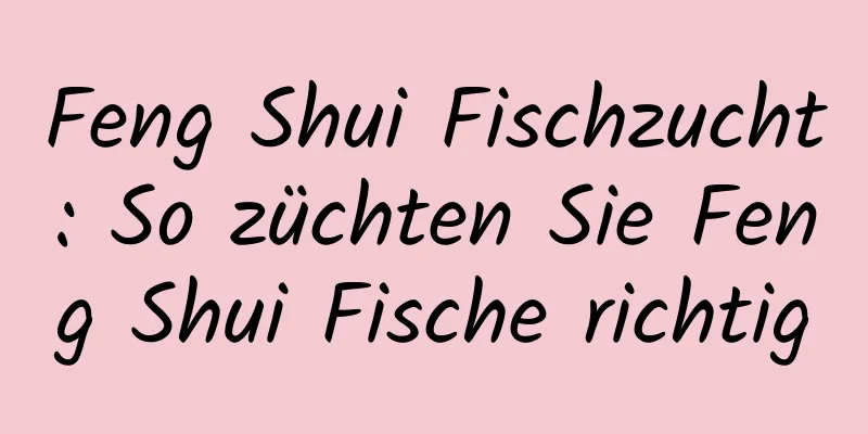 Feng Shui Fischzucht: So züchten Sie Feng Shui Fische richtig