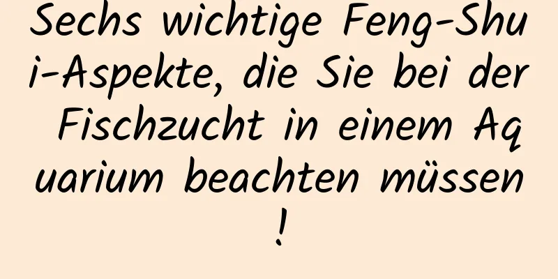 Sechs wichtige Feng-Shui-Aspekte, die Sie bei der Fischzucht in einem Aquarium beachten müssen!