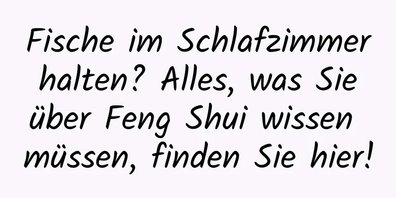 Fische im Schlafzimmer halten? Alles, was Sie über Feng Shui wissen müssen, finden Sie hier!