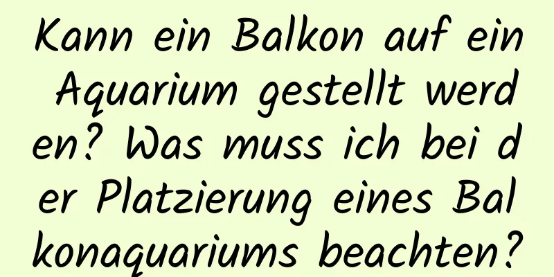 Kann ein Balkon auf ein Aquarium gestellt werden? Was muss ich bei der Platzierung eines Balkonaquariums beachten?