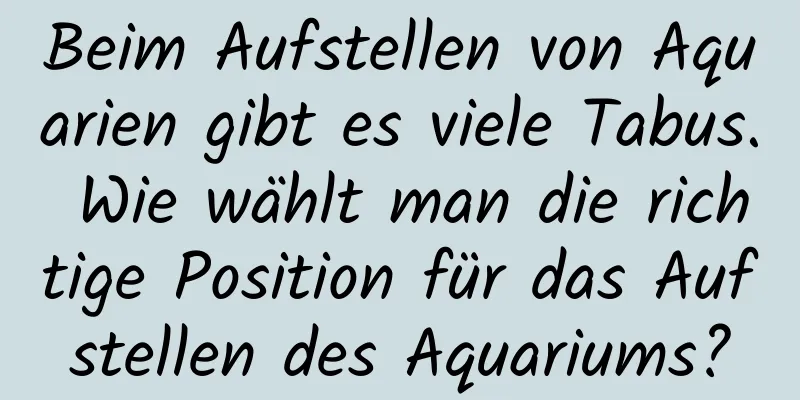 Beim Aufstellen von Aquarien gibt es viele Tabus. Wie wählt man die richtige Position für das Aufstellen des Aquariums?