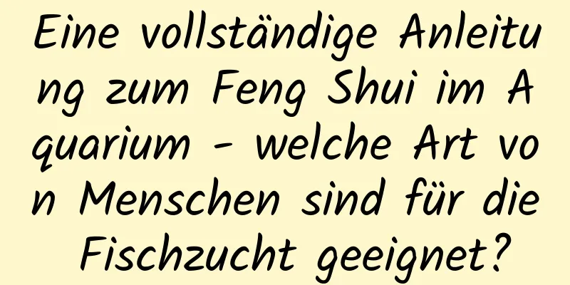 Eine vollständige Anleitung zum Feng Shui im ​​Aquarium - welche Art von Menschen sind für die Fischzucht geeignet?