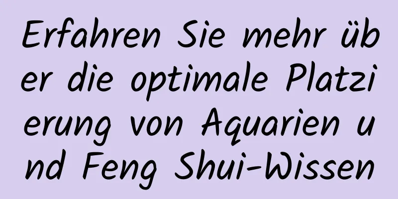 Erfahren Sie mehr über die optimale Platzierung von Aquarien und Feng Shui-Wissen