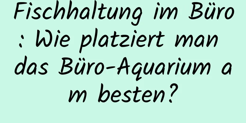 Fischhaltung im Büro: Wie platziert man das Büro-Aquarium am besten?