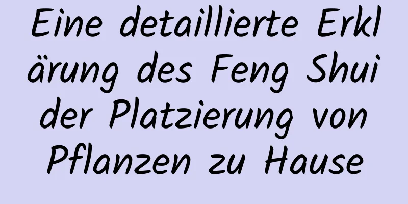 Eine detaillierte Erklärung des Feng Shui der Platzierung von Pflanzen zu Hause