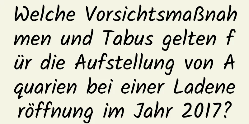 Welche Vorsichtsmaßnahmen und Tabus gelten für die Aufstellung von Aquarien bei einer Ladeneröffnung im Jahr 2017?