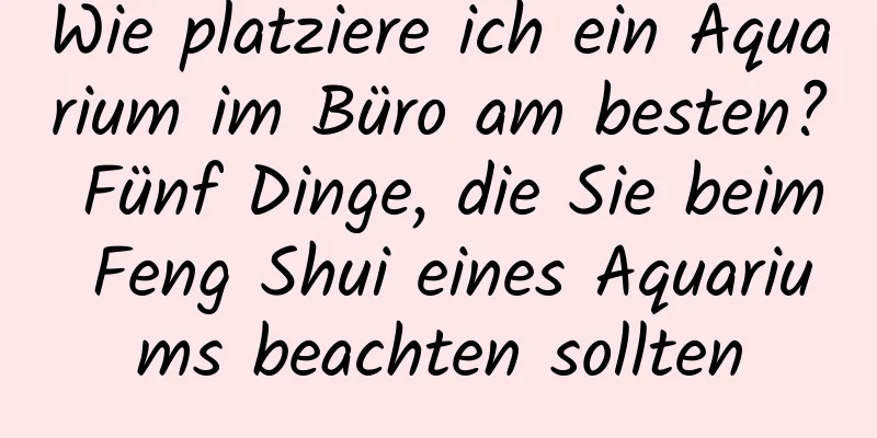 Wie platziere ich ein Aquarium im Büro am besten? Fünf Dinge, die Sie beim Feng Shui eines Aquariums beachten sollten