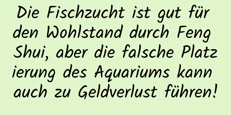 Die Fischzucht ist gut für den Wohlstand durch Feng Shui, aber die falsche Platzierung des Aquariums kann auch zu Geldverlust führen!