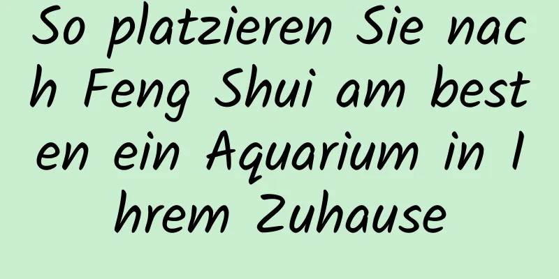 So platzieren Sie nach Feng Shui am besten ein Aquarium in Ihrem Zuhause