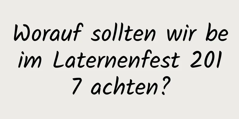 Worauf sollten wir beim Laternenfest 2017 achten?