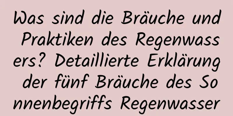 Was sind die Bräuche und Praktiken des Regenwassers? Detaillierte Erklärung der fünf Bräuche des Sonnenbegriffs Regenwasser