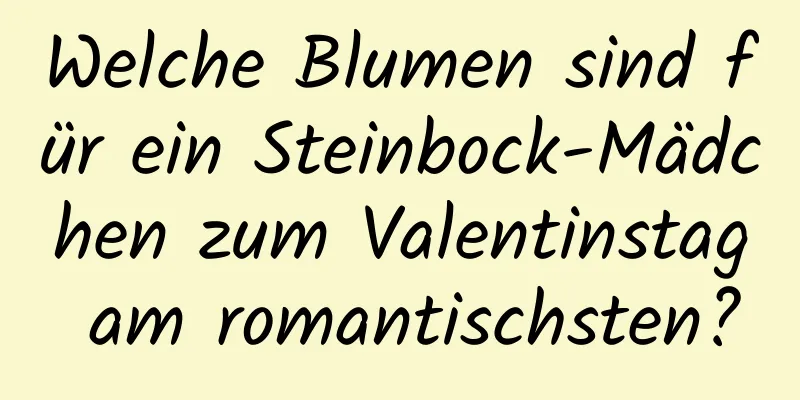 Welche Blumen sind für ein Steinbock-Mädchen zum Valentinstag am romantischsten?