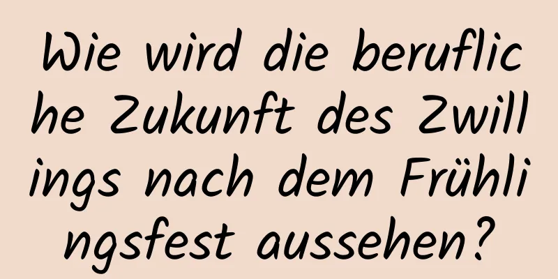 Wie wird die berufliche Zukunft des Zwillings nach dem Frühlingsfest aussehen?