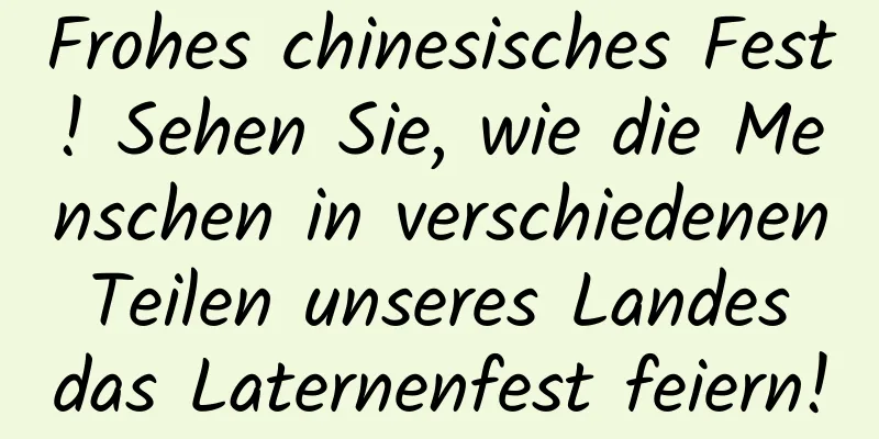 Frohes chinesisches Fest! Sehen Sie, wie die Menschen in verschiedenen Teilen unseres Landes das Laternenfest feiern!