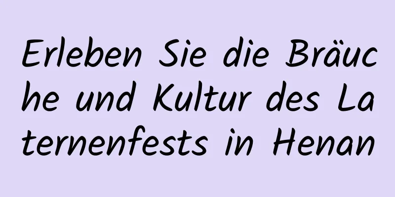 Erleben Sie die Bräuche und Kultur des Laternenfests in Henan