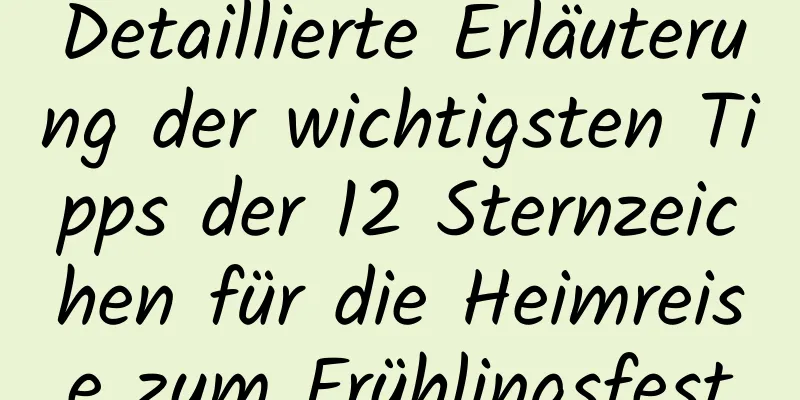 Detaillierte Erläuterung der wichtigsten Tipps der 12 Sternzeichen für die Heimreise zum Frühlingsfest