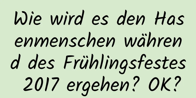 Wie wird es den Hasenmenschen während des Frühlingsfestes 2017 ergehen? OK?