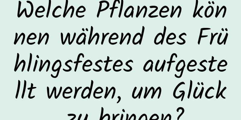 Welche Pflanzen können während des Frühlingsfestes aufgestellt werden, um Glück zu bringen?