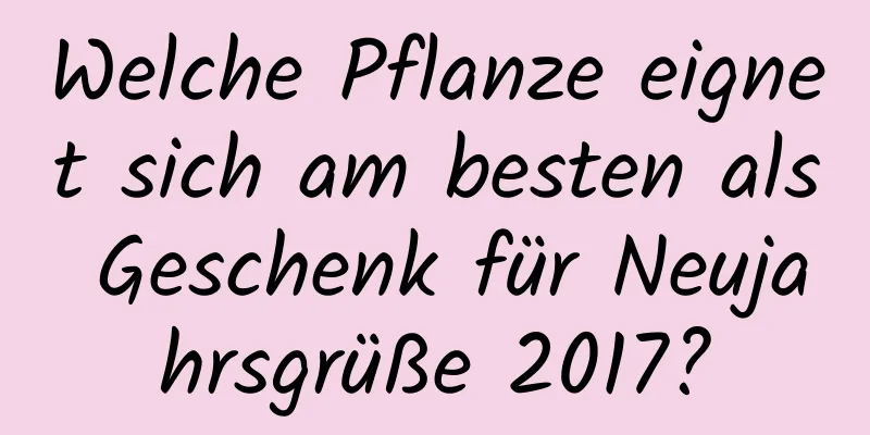 Welche Pflanze eignet sich am besten als Geschenk für Neujahrsgrüße 2017?