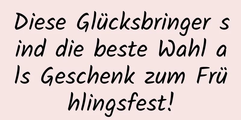 Diese Glücksbringer sind die beste Wahl als Geschenk zum Frühlingsfest!