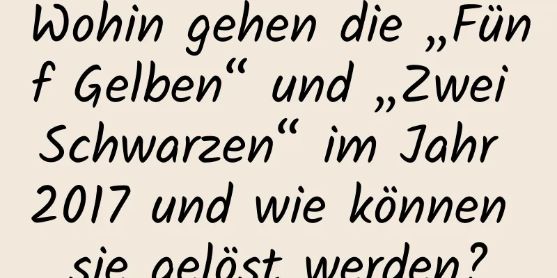 Wohin gehen die „Fünf Gelben“ und „Zwei Schwarzen“ im Jahr 2017 und wie können sie gelöst werden?