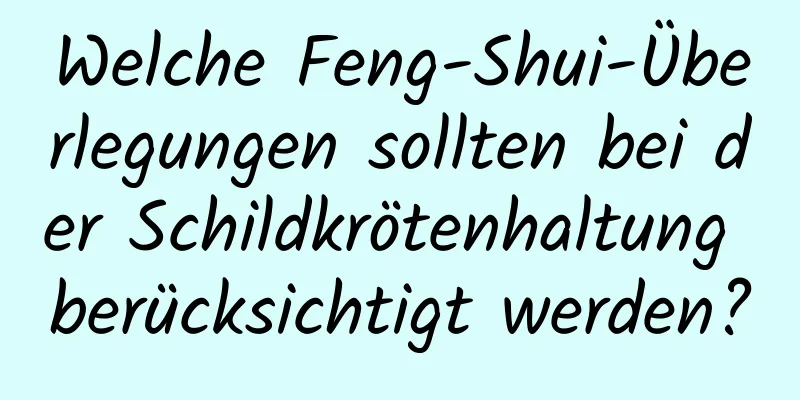 Welche Feng-Shui-Überlegungen sollten bei der Schildkrötenhaltung berücksichtigt werden?