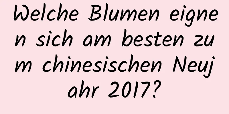 Welche Blumen eignen sich am besten zum chinesischen Neujahr 2017?