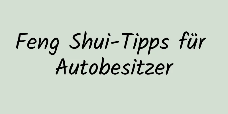 Feng Shui-Tipps für Autobesitzer