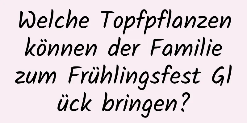 Welche Topfpflanzen können der Familie zum Frühlingsfest Glück bringen?