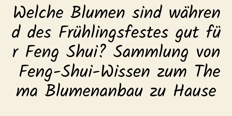 Welche Blumen sind während des Frühlingsfestes gut für Feng Shui? Sammlung von Feng-Shui-Wissen zum Thema Blumenanbau zu Hause